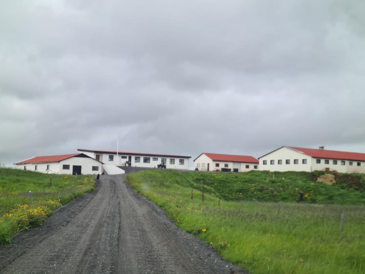 Fiflholt Villa Hvolsvöllur Exteriör bild